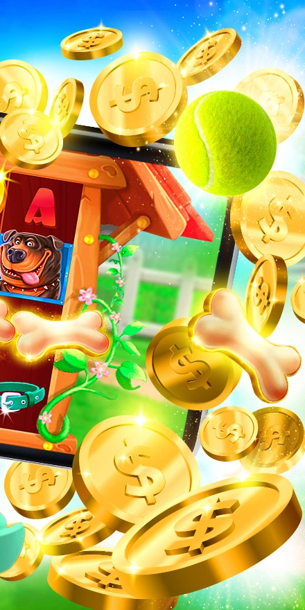 The Doge House Screenshot